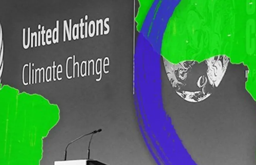 COP 27.png