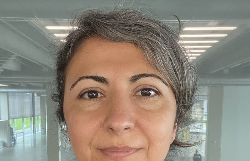 Doğan Taupitz, Duygu.jpeg