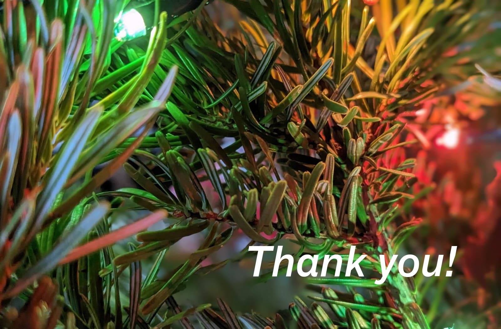 HappyHolidays_CIMAM_22 (1).jpg