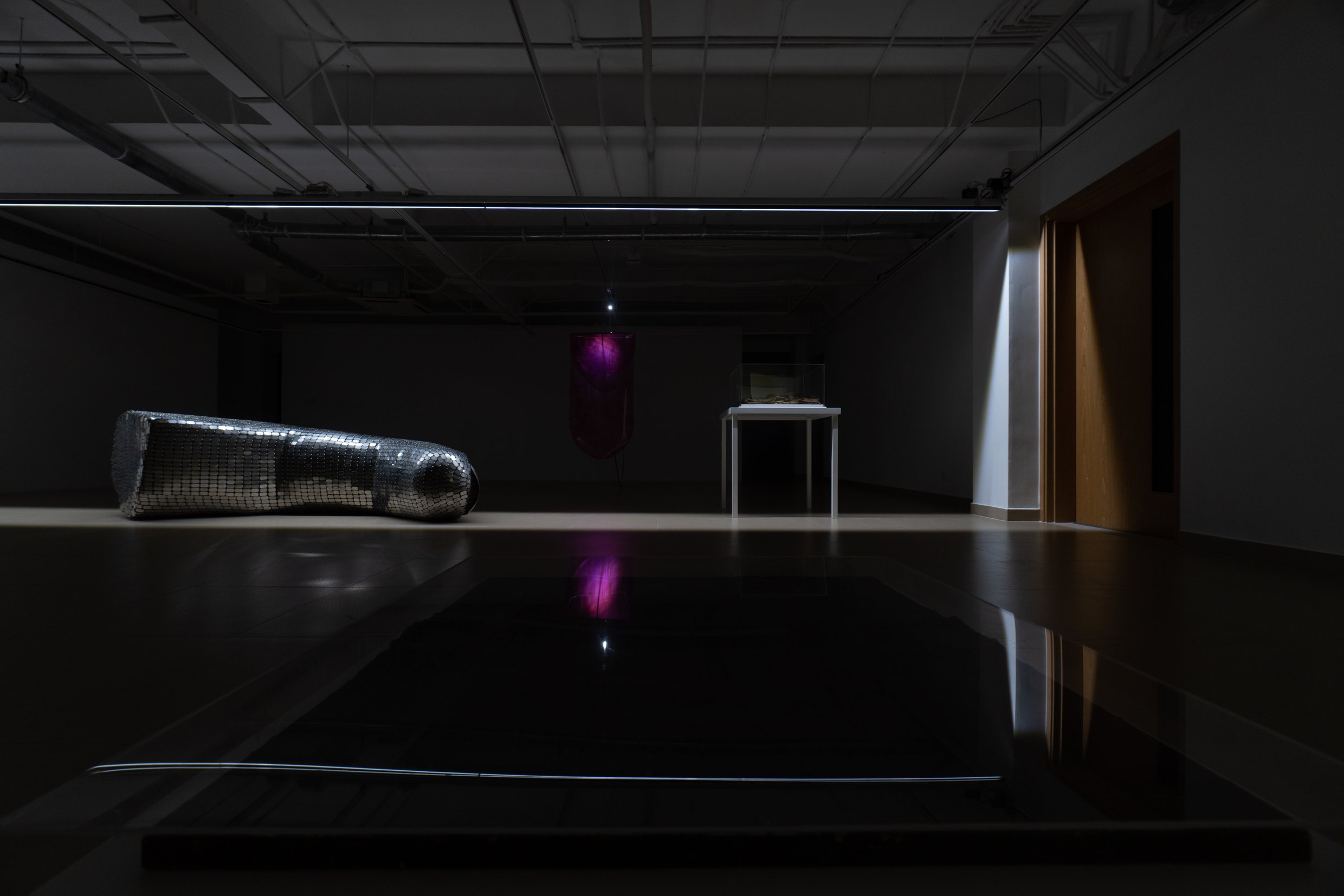 Image 04. 2023 White Noise, Nguyen Art Foundation, installation view