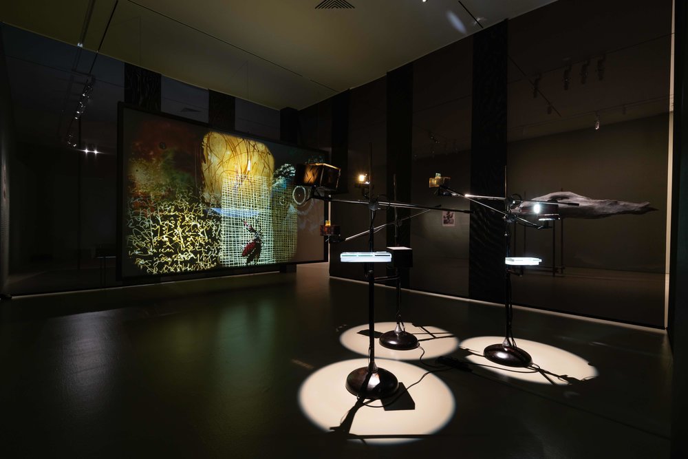 Image 08. Oanh Phi Phi, Palimpsest, 2022, glass,  sơn ta resin, pigment, aluminium, inox, cork, aramid fiber, epoxy, gold, silver, and aluminium leaf, steel, installation view