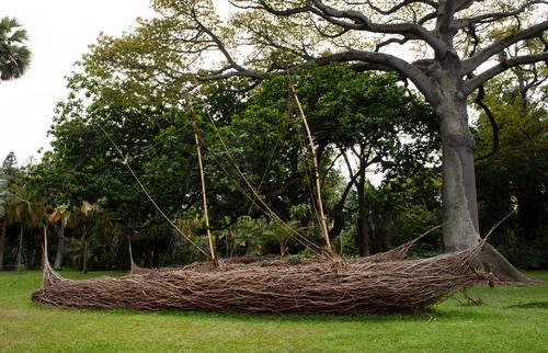 Leland Miyano, Huaka‘i - A Wake, 2019..jpg