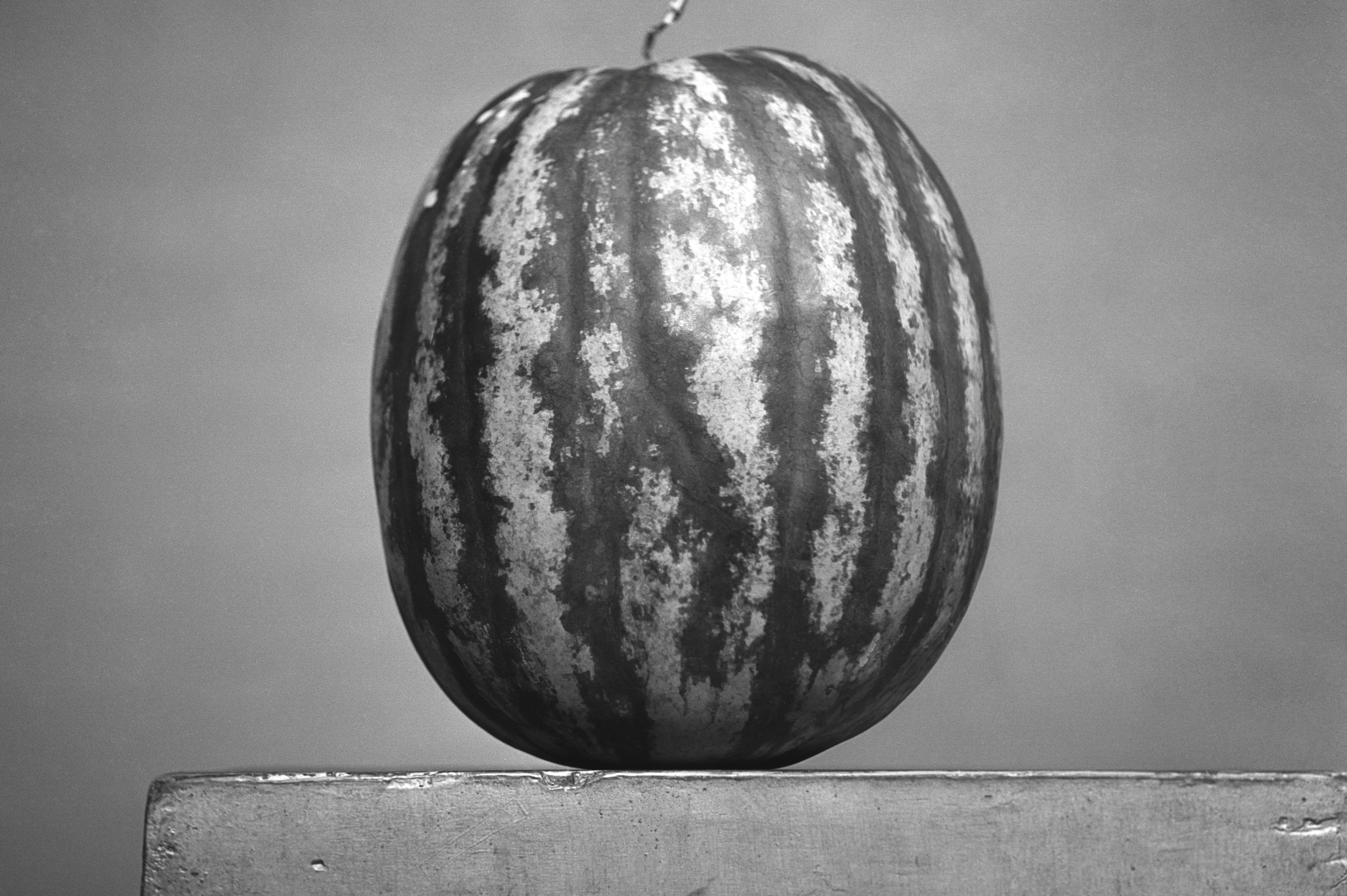 Monochrome_Resistance_0155mo36765_cropped-Watermelon-small_s