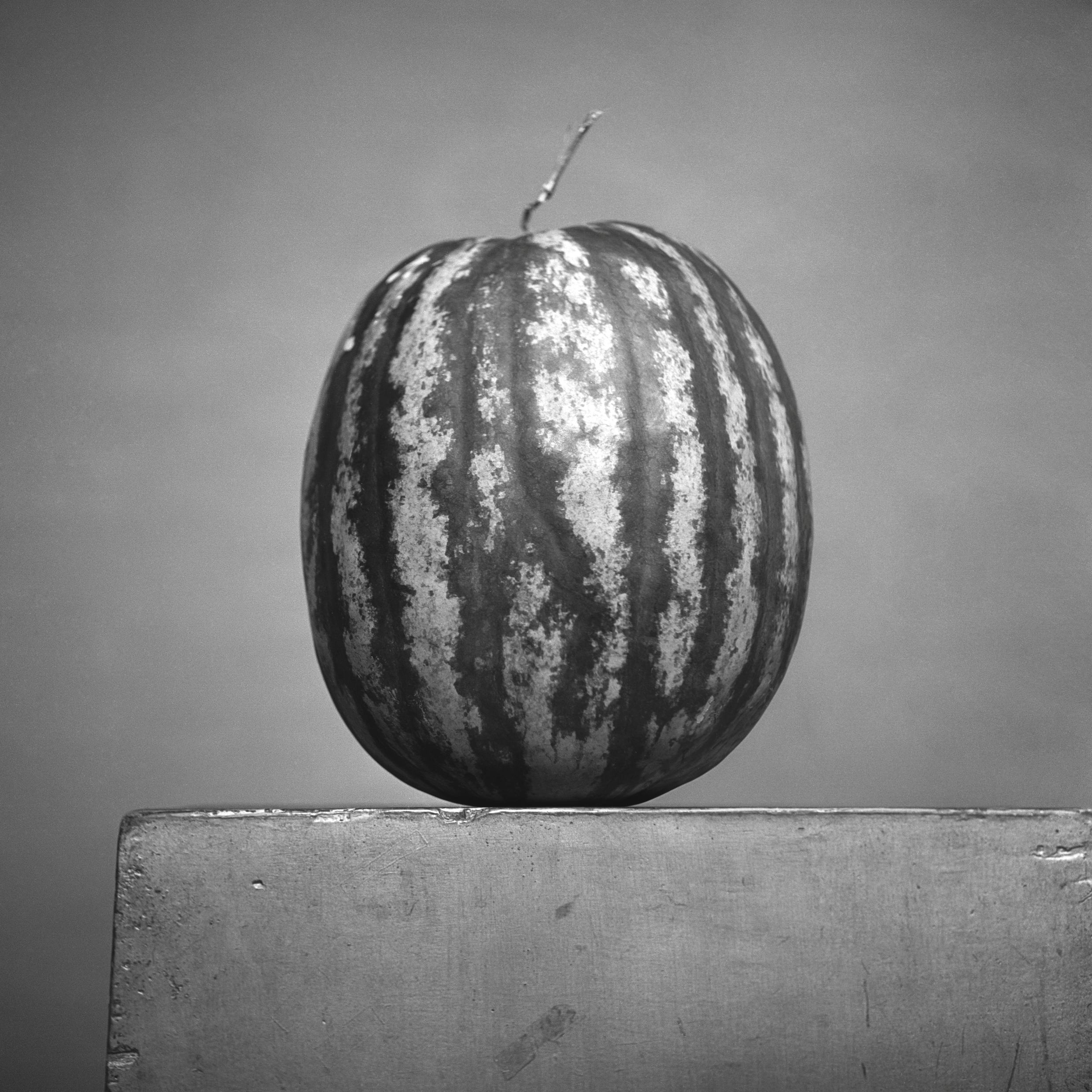 Monochrome_Resistance_0155mo36765_cropped-Watermelon-small_s