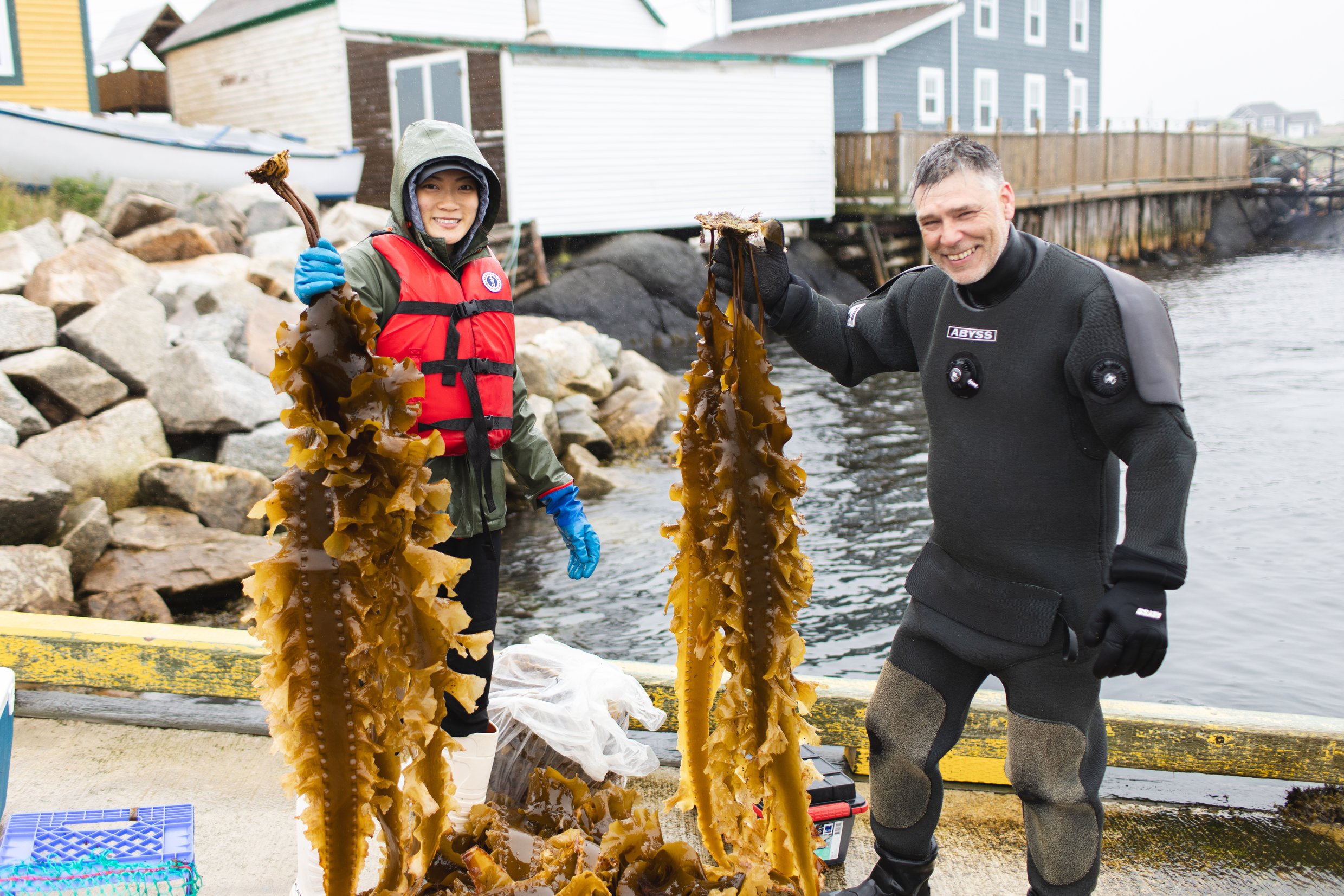 P.SF_Amanda_Lim_Tim_Ball_Tilting_Kelp_Harvest_1