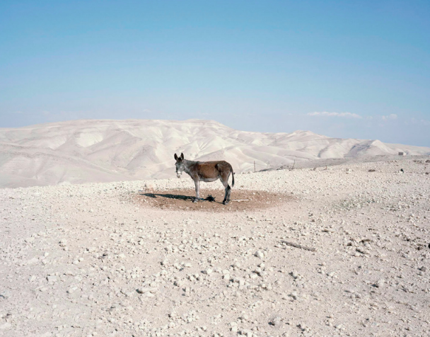 Paris Petridis, Bethlehem, 2012.Courtesy of the artist