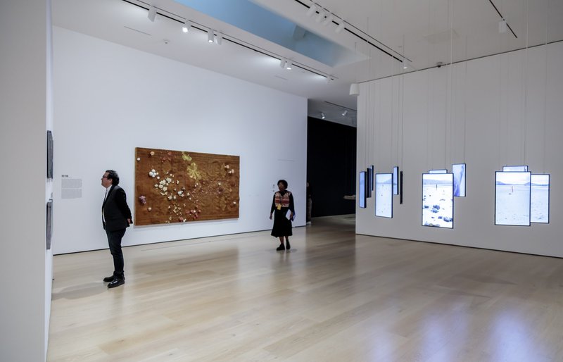 Photo-Joshua_White-jwpictures.com-4Q6A3255