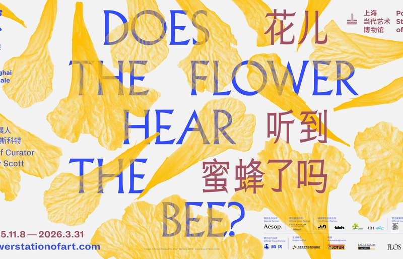 Poster of the 15th SHB (1)