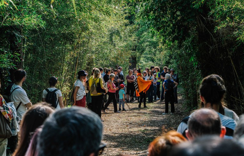 Thinking like a Mountain 1