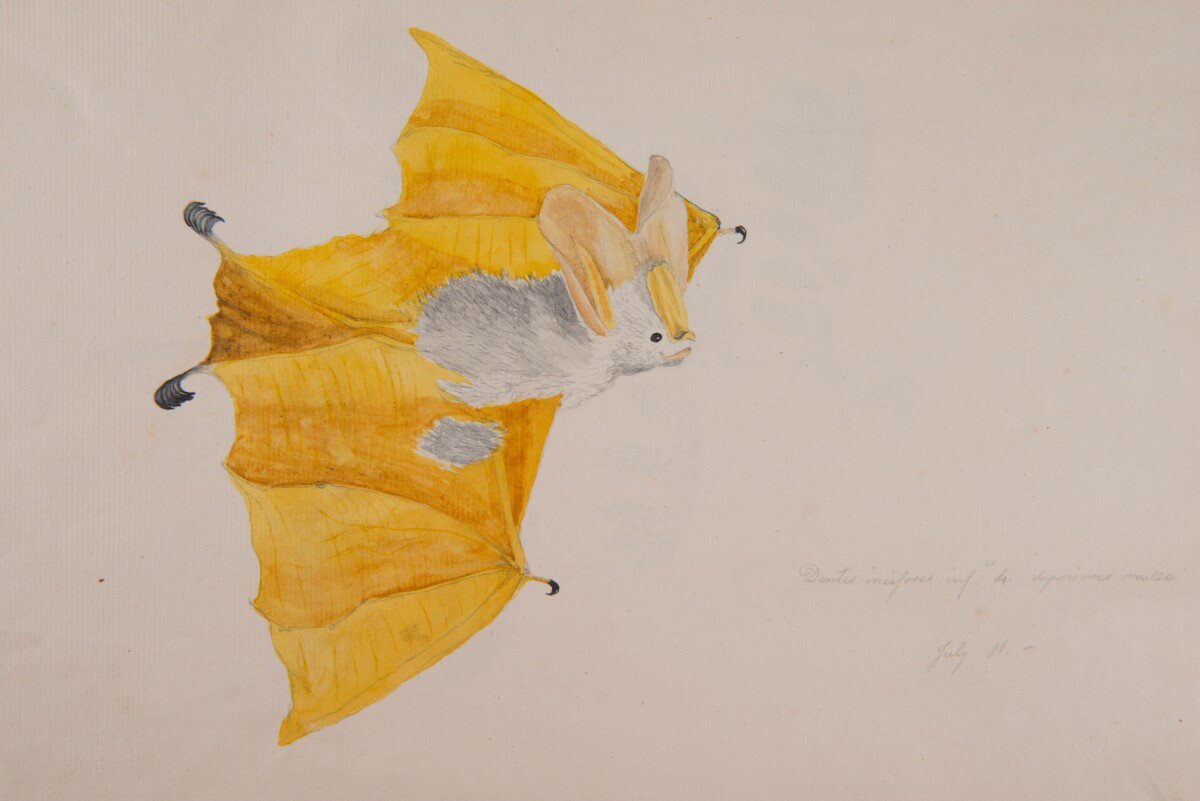 c1ea0083-126c-424e-b955-138dbfd6af1a