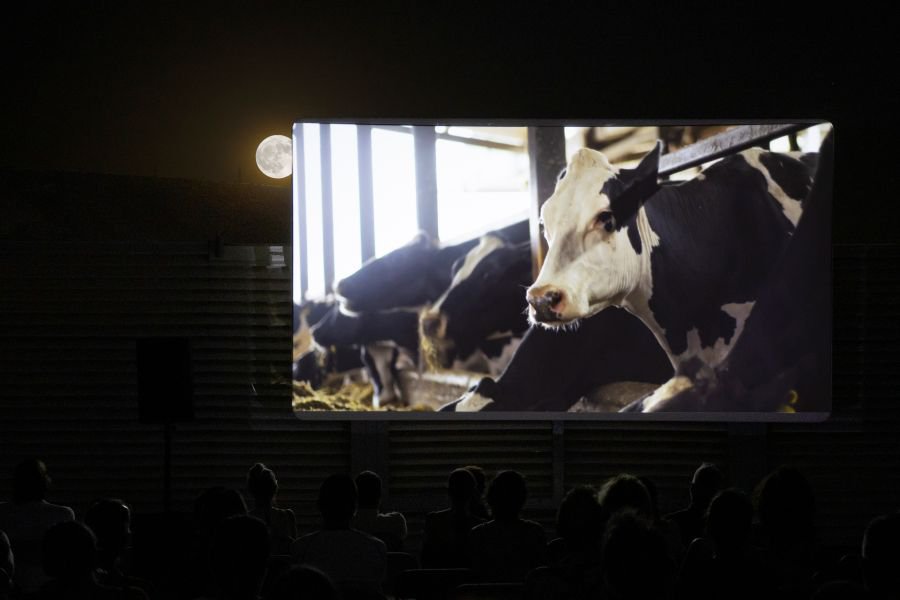 cinefix2025_ photo by Melitini Nikolaidi (19)