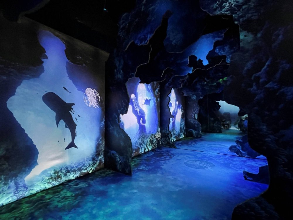 A view of an exhibit at Arcadia Earth, an environmental art exhibit using augmented reality to spread awareness about the impacts of climate change, in New York in April 2022 | REUTERS