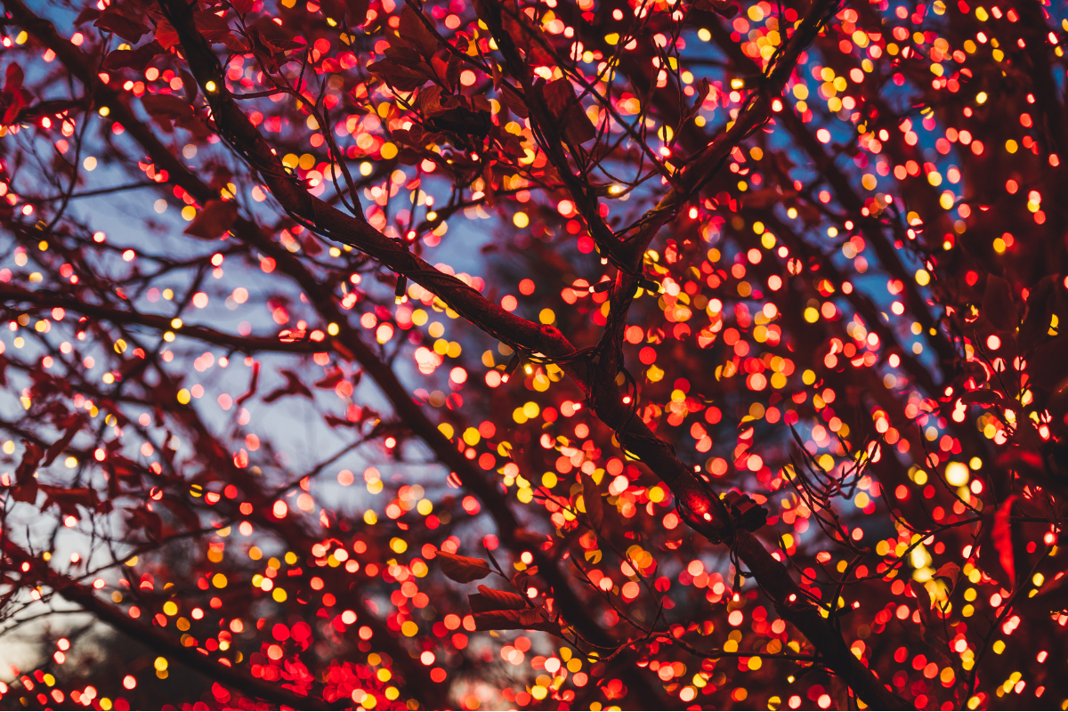 season grettings 2025