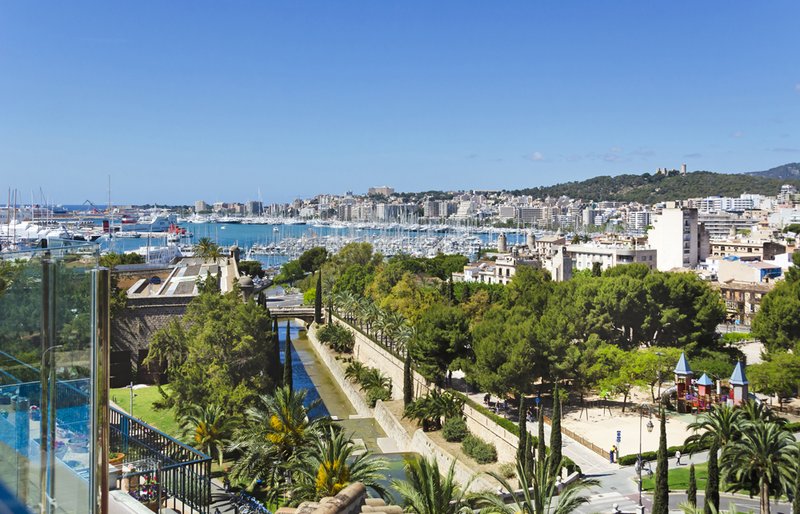 Visual 1 Webtaura.png